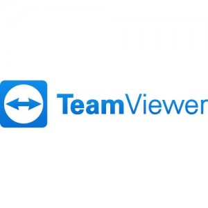 Teamviewer Premium Subscription for Government 1 Year